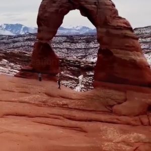 Meet your Posher, Jackson